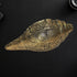 Brass Shankh, Vishwaroopam Conch 2027g